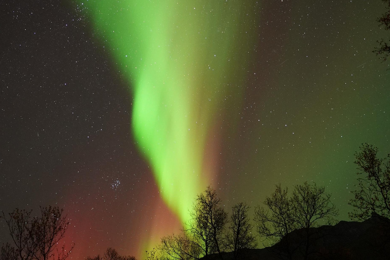 Tromsø: English/Spanish Aurora Pathfinder Tour with Photos Tromsø: English/Spanish Aurora Hunting Private Minibus Tour