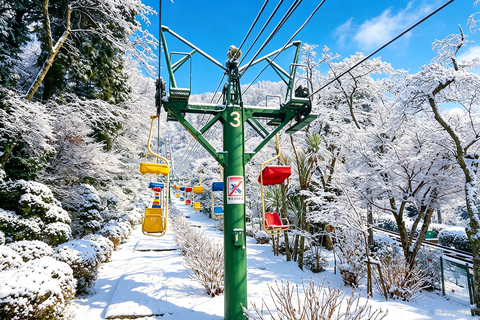 Osaka: Amanohashidate, Ine Cruise & Miyama Village From Osaka (Basic Package)