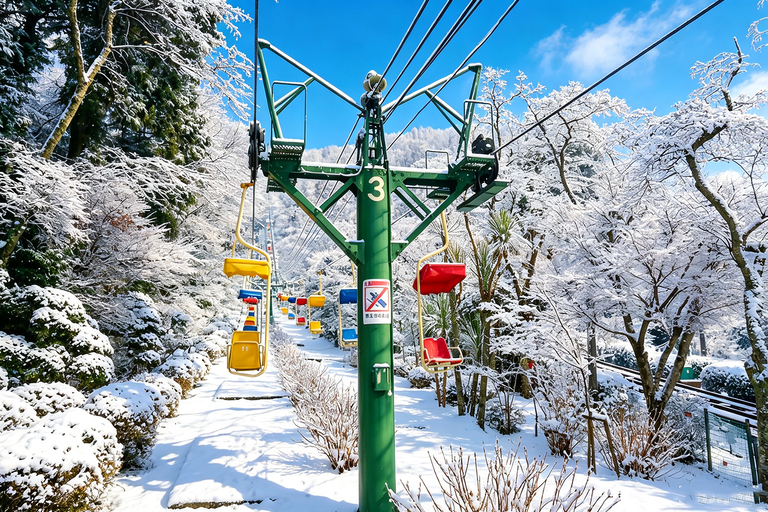 Osaka: Amanohashidate, Ine Cruise & Miyama Village From Osaka (Basic Package)