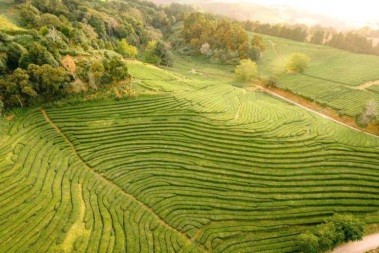 São Miguel: Private Customizable Full-Day Island Tour