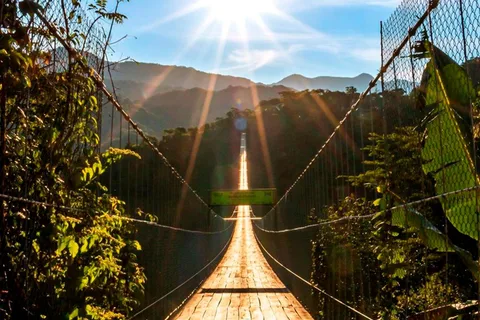 Puerto Vallarta: ZipLine + Jorullo Bridge Pass + Mule Ride