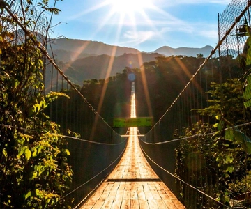 Puerto Vallarta: ZipLine + Jorullo Bridge Pass + Maultier-Ritt