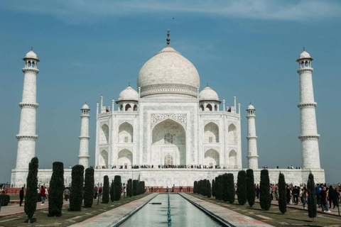 Agra: Tour dell&#039;alba del Taj Mahal con guidaPrenotazione della sola guida turistica