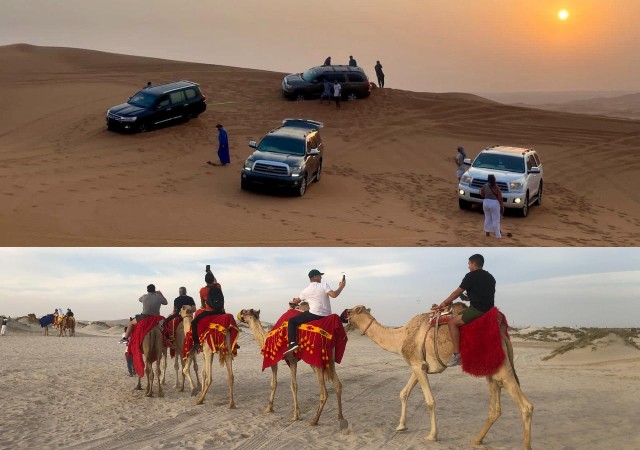 Visit Doha Desert Safari Dune Bashing, Camel Ride, Inland sea in Doha, Qatar