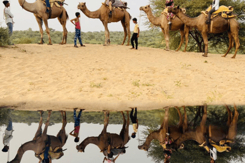 Safari na wielbłądzie w Jodhpur z tradycyjnym jedzeniem