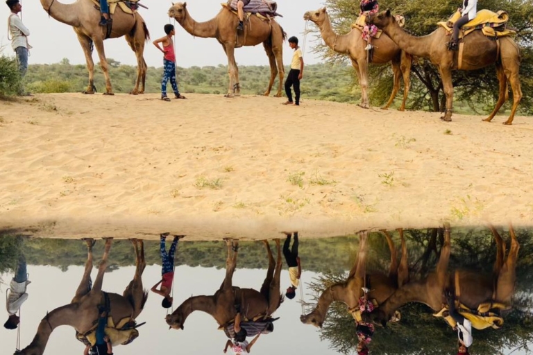 Safari à dos de chameau dans le désert de Jodhpur et safari en jeep avec repasSafari à dos de chameau et en jeep dans le désert de Jodhpur avec repas traditionnel
