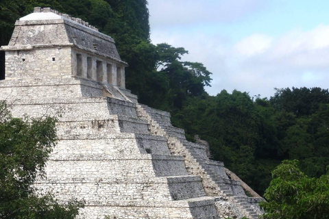 Au départ de Tuxtla Gutierrez : circuit de 4 jours à Palenque et au ChiapasDepuis Tuxtla Gutierrez : circuit de 4 jours à Palenque et au Chiapas