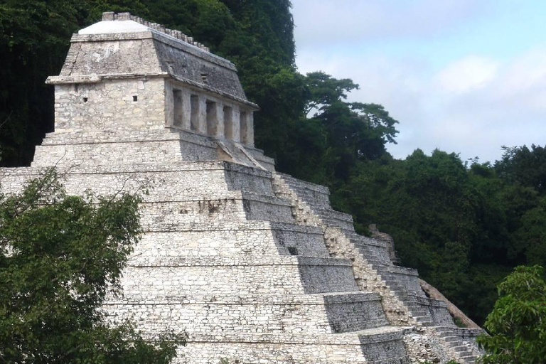 Au départ de Tuxtla Gutierrez : circuit de 4 jours à Palenque et au ChiapasDepuis Tuxtla Gutierrez : circuit de 4 jours à Palenque et au Chiapas