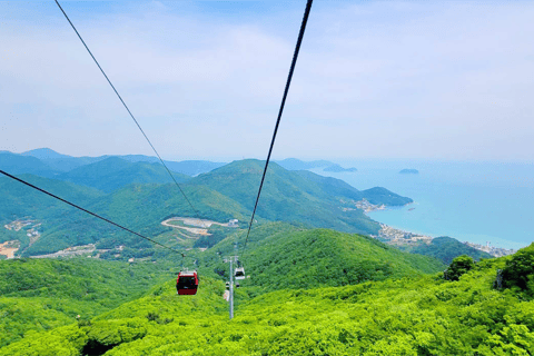 Busan: Hidden Gem Geoje &amp; Oedo Botania Island&amp; SeilbahnGemeinsame Tour vom U-Bahnhof Seomyeon, Ausgang 12