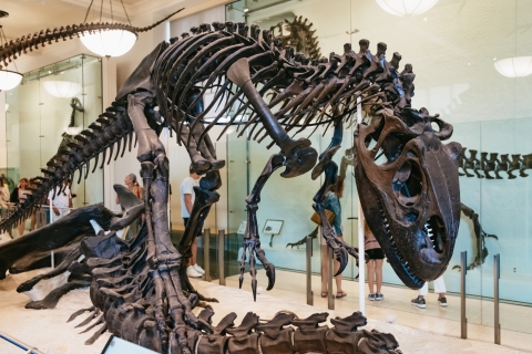 New York City: ticket American Museum of Natural HistoryAlgemene toegang