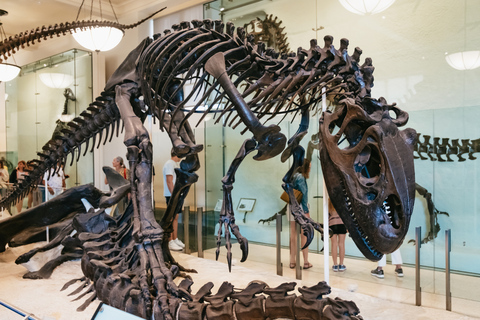 New York City: American Museum of Natural History TicketAllgemeiner Eintritt