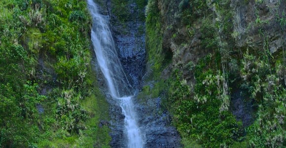 Tahiti: Shared Half-Day Circle Island Highlights Tour