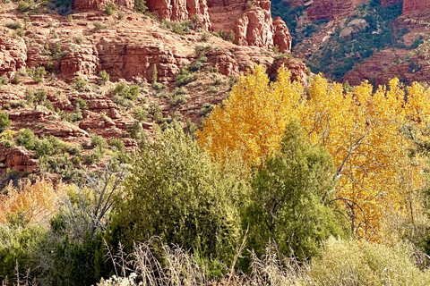 Sedona: Ein-Tages-Tour von Las Vegas aus