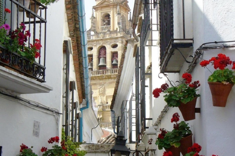 De Séville: visite privée d'une journée à Cordoue