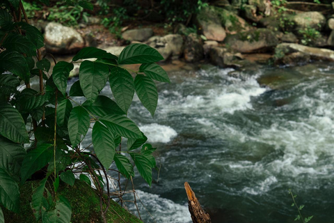 From Khao Lak: ATV & Rafting with Waterfall and Temple Visit From Khao Lak: Rafting 9 km. + ATV + Waterfall + Temple