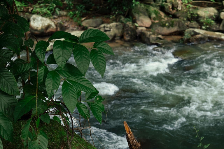 From Khao Lak: ATV & Rafting with Waterfall and Temple Visit From Khao Lak: Rafting 9 km. + ATV + Waterfall + Temple