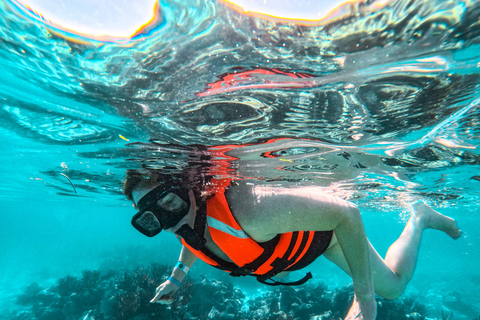 Akumal: Tsuuk Park Entry with Turtles Snorkeling Tour