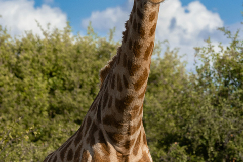Livingstone: Mosi-oa-Tunya Park, Falls & Sunset Cruise