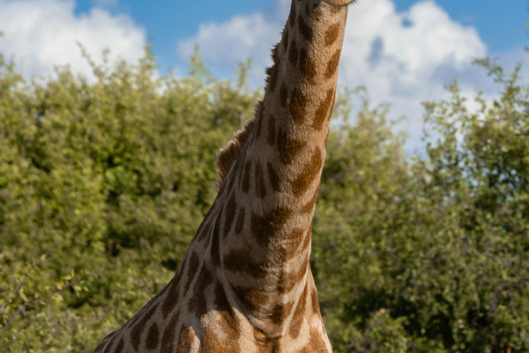 Livingstone: Mosi-oa-Tunya Park, Falls & Sunset Cruise