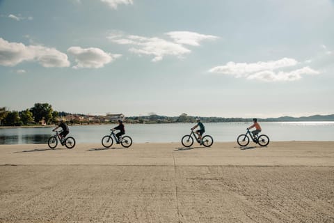 fahrradtaschen ortlieb amazon Commuter Insert Yellow Electric Bike Focus AVENTURA² 6.8 grau Muster/Verpackungseinheit:VE mit 12 Stück