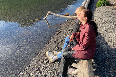 Seattle: Rainforest and Olympic National Park Highlights Olympic National Park: Rainforest, Beach, and highlights