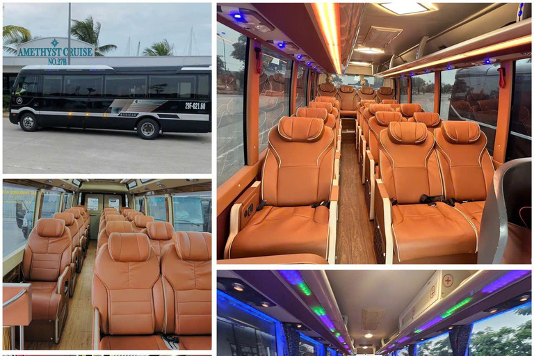 From Hanoi: Halong Bay Day Cruise with Kayak, Cave & Swim Halong Bay Day Cruise from Halong Port (No Transfer)