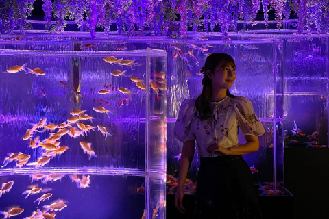 Tokyo: Art Aquarium Museum GINZA Entry Ticket