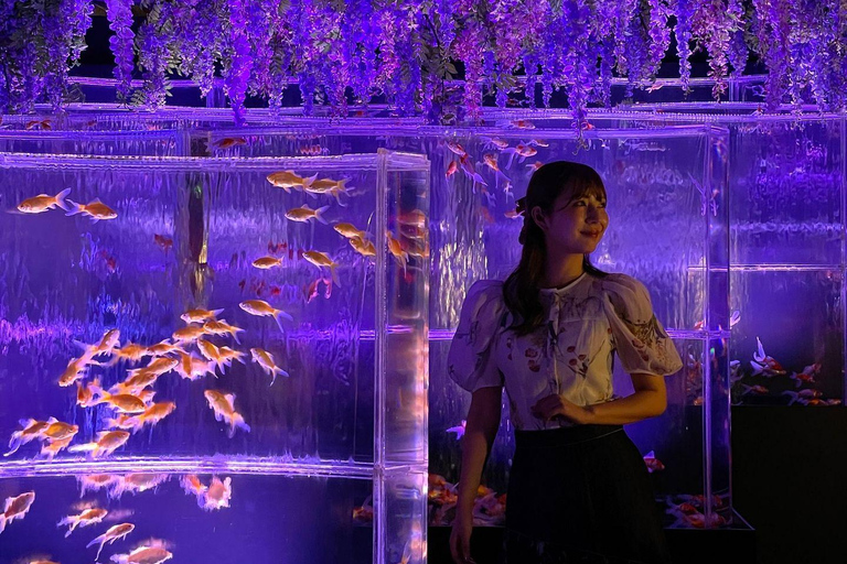 Tokyo: Art Aquarium Museum GINZA Entry Ticket