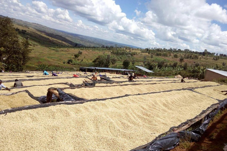 Kigali: 2-Day Kinunu Coffee Tour & Lake Kivu Exploration
