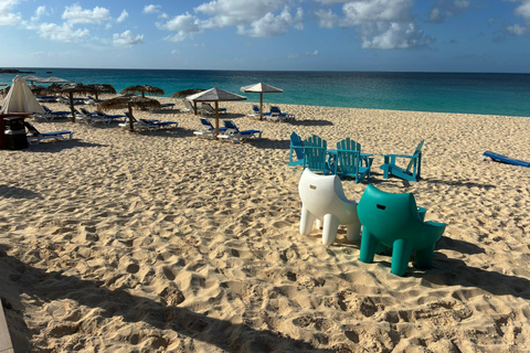Anguilla Sightseeing & Beach Day (For guest from St.Maarten)