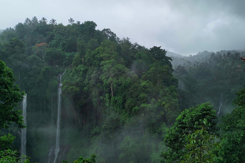 Trekking na selva em SekumpulTrekking na Cachoeira Sekumpul com tudo incluído