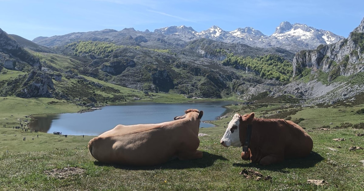 Covadonga y Cascos Históricos Cangas de Onís y Lastres GetYourGuide