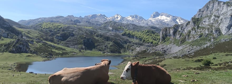 Covadonga y Cascos Históricos Cangas de Onís y Lastres