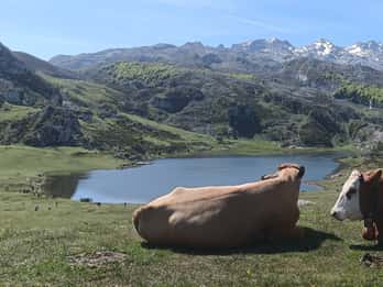 Covadonga y Cascos Históricos Cangas de Onís y Lastres