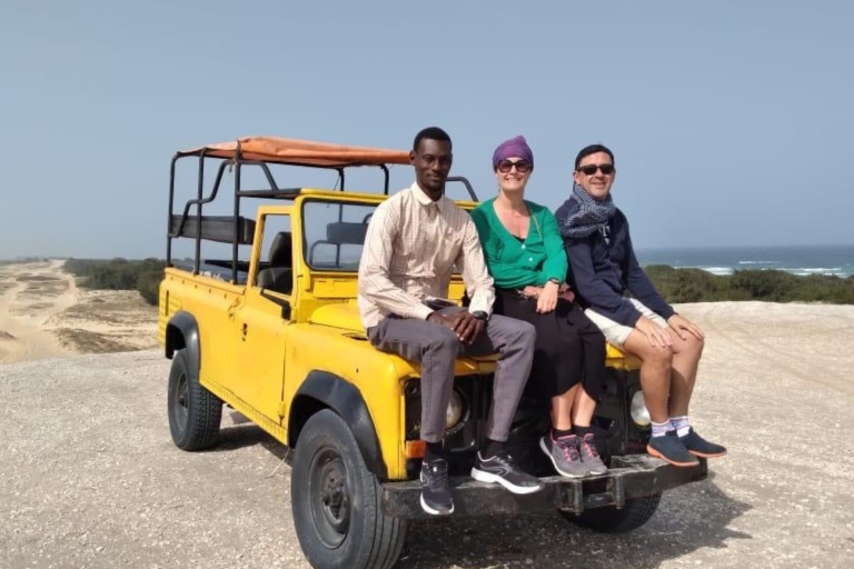 Dakar: Półdniowa wycieczka do Różowego Jeziora i Wioski Żółwi