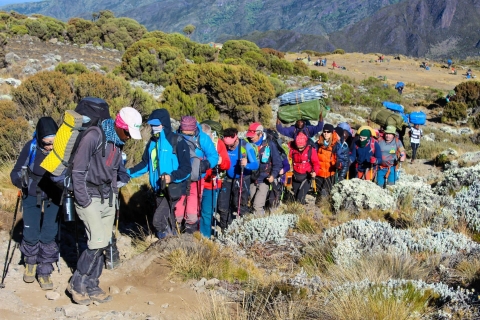 5 Días Ascenso al Kilimanjaro Ruta Marangu