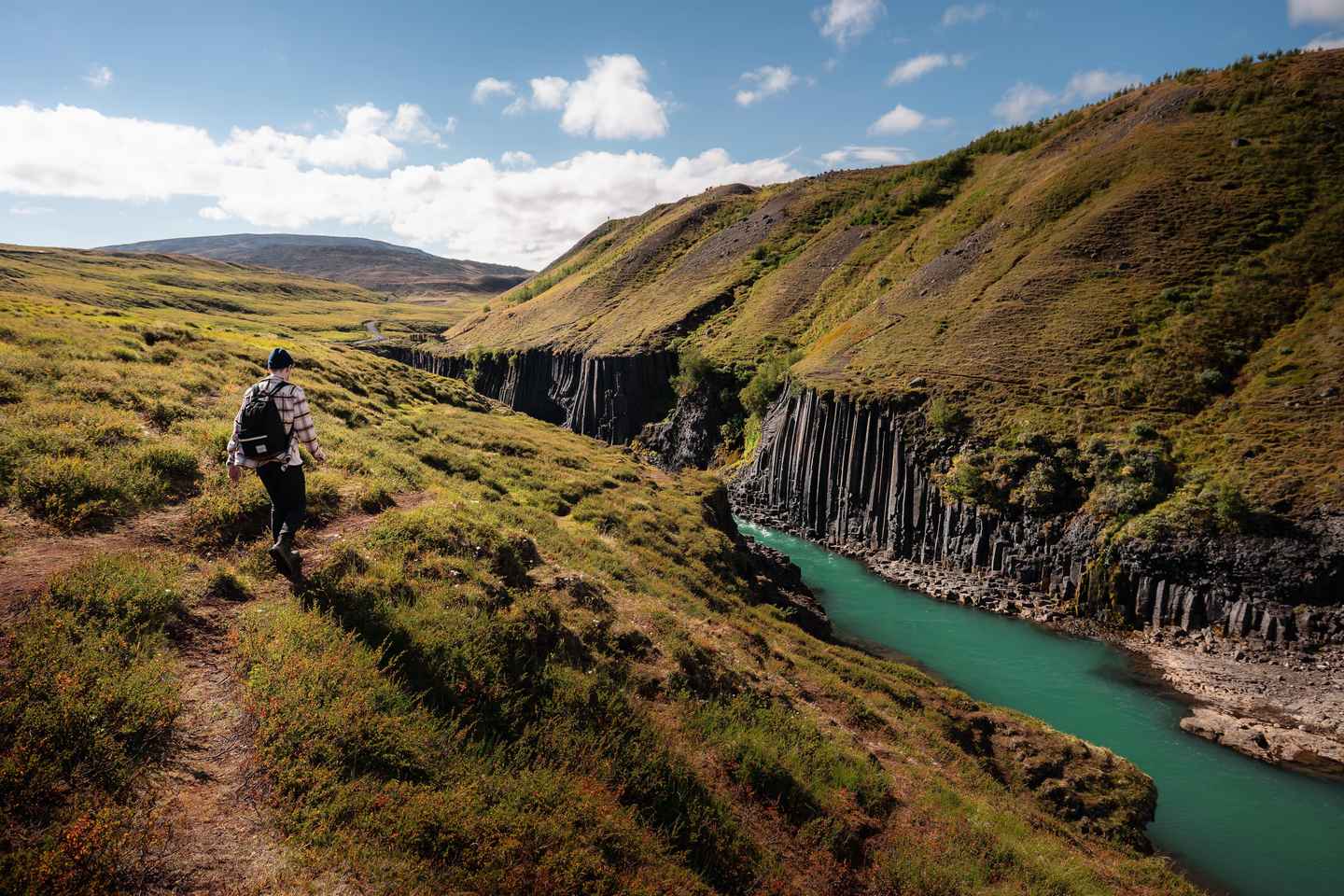 Da Seyðisfjörður: Tour al Canyon di Stuðlagil e Parco delle Renne