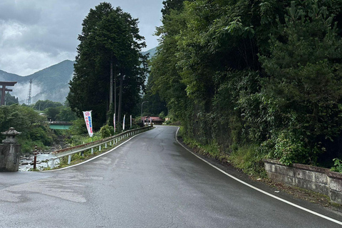 Tokio: Nikko Tour Privado de un Día