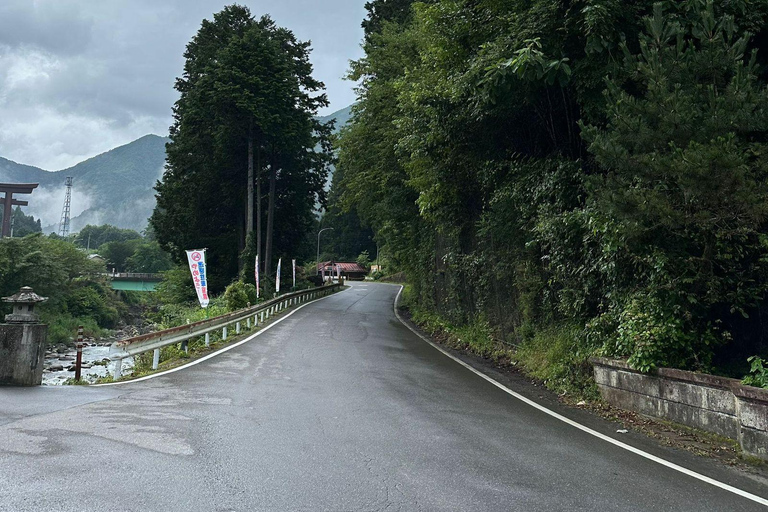 Tokio: Nikko Tour Privado de un Día