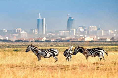 Nairobi: National Park Safari with Hotel Pickup in a Van