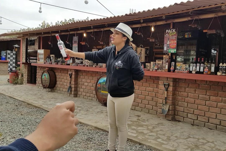 Ica: Degustacja wina i pisco