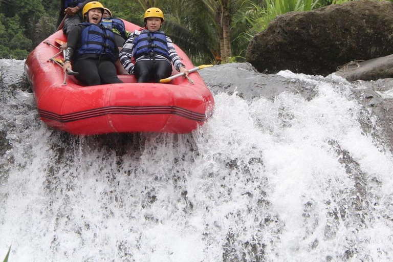 Sidemen Private Rafting: Telaga Waja River with LunchRAFTING only at Meeting Point