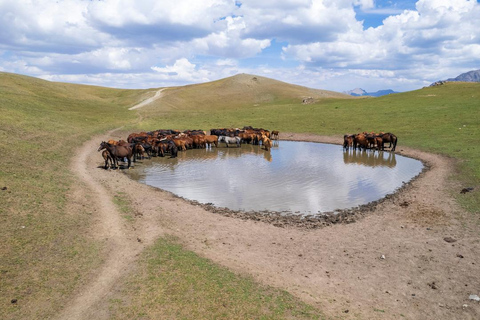 Mongolia: Terelj National Park Horseback Ride