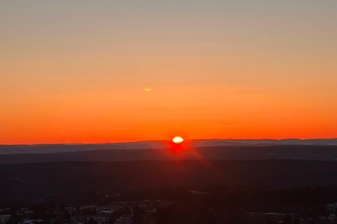 Oslo: Forest Hike with Panoramic Fjord Views and a dog