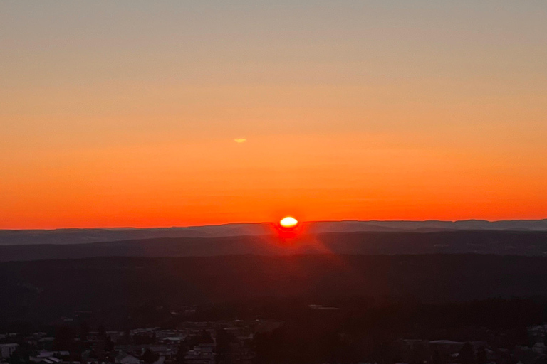 Oslo: Forest Hike with Panoramic Fjord Views and a dog