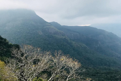 Mathale/Kandy: Riverston Peak Tour with Transfers