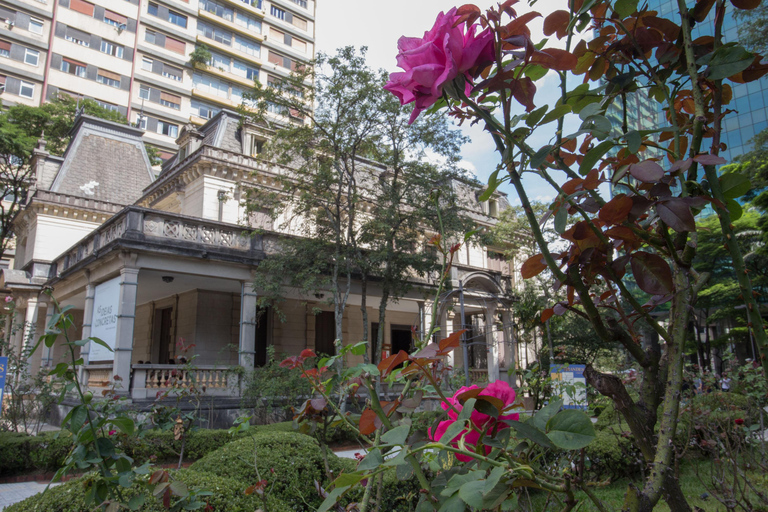 Avenida Paulista: Wycieczka piesza po atrakcjach