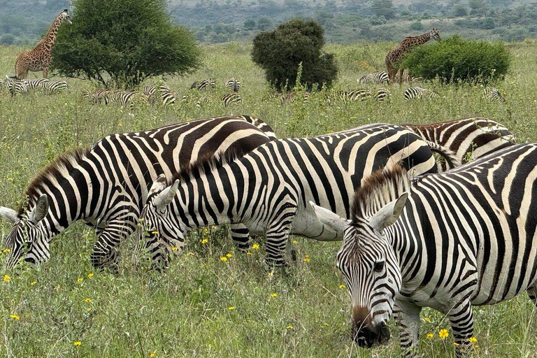 Mombasa/Diani: Private Overnight Tsavo East Safari