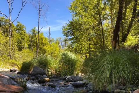 From Phoenix: Grand Canyon and Sedona Oak Creek Day Tour