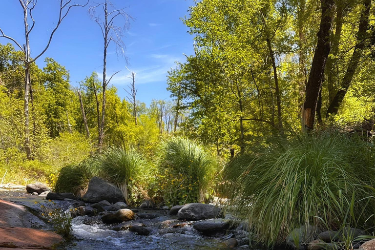 From Phoenix: Grand Canyon and Sedona Oak Creek Day Tour